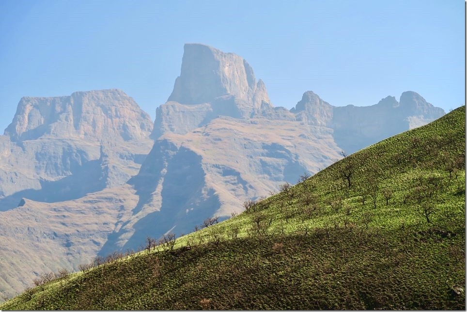 20645311_10154918505357914_2023963817274183915_o_thumb[1]